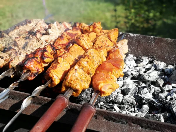 Barbekü ızgara üzerinde ızgara shashlik. Güneşli yaz günü.