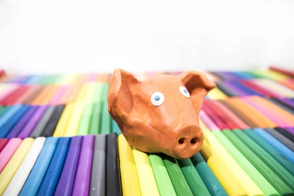 Play clay Animals. Pig on colored background.
