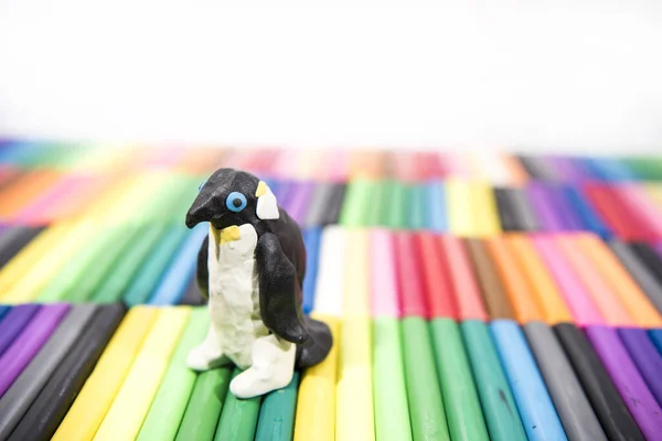 Tontiere Spielen Pinguin Auf Farbigem Hintergrund — Stockfoto