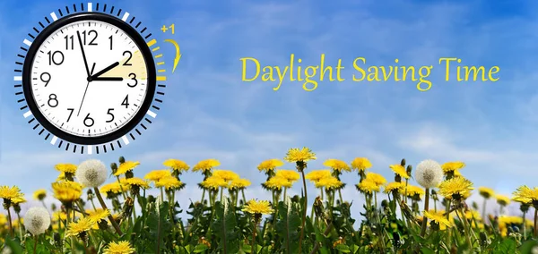 Yaz Günışığı Tasarruf Zamanı Dst Sarı Karahindibalı Mavi Gökyüzü Zamanı — Stok fotoğraf