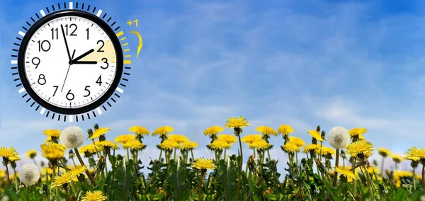 Summer Daylight Saving Time Dst Blue Sky Yellow Dandelions Turn — Stock Photo, Image