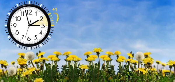 Sommerzeit Dst Blauer Himmel Mit Gelben Löwenzahn Umdrehungszeit Vorwärts lizenzfreie Stockfotos