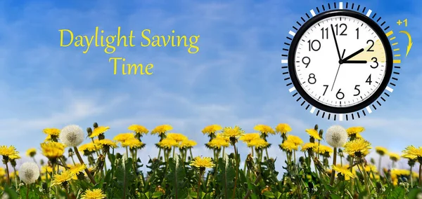 Daylight Saving Time Dst Ρολόι Τοίχου Στο Τοπίο Της Άνοιξης — Φωτογραφία Αρχείου