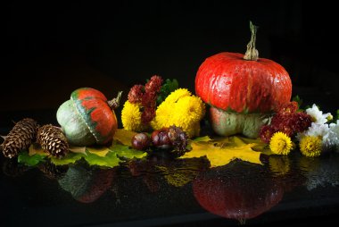 Kabaklar, Kasımpatı, çam kozalakları ve kestane ve sarı akçaağaç sonbahar natürmort karanlık bir arka plan ayna yansıması ve su damla yaprak.