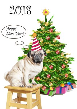 Bir tabure hediyeler ile yeni yıl ağacı yakınındaki bir komik çizgili şapkalı bir üzücü pug köpek herkes mutlu bir yeni yıl tebrik! Resim baskılı ürün ve arka planlar.