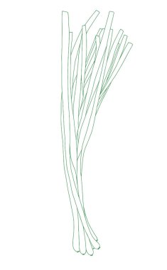 Taze soğan Hat sanatı 