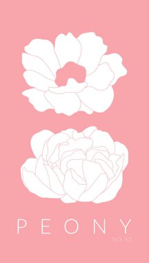 Şakayık vektör Hat sanatı