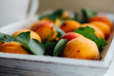  Yaprakları içinde ahşap tepsi ile kayısı