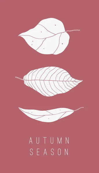 Reihe von Herbstblättern Silhouetten auf dem Farbhintergrund — Stockvektor