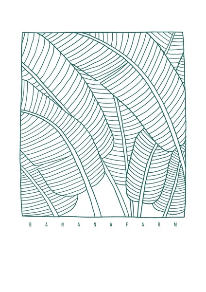 Bananblad Kontur Illustration Handen Ritade Linjen Konst Den Vita Bakgrunden — Stock vektor