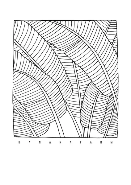 Banana leaves line art illustration. Hand drawn contour on the white background