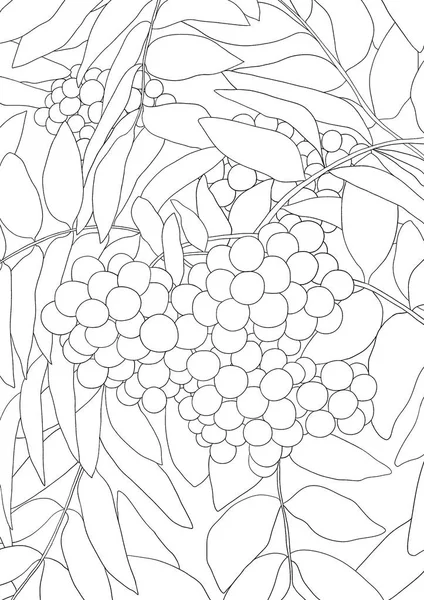 Boom Tekening Stockfotos Rechtenvrije Boom Tekening Afbeeldingen