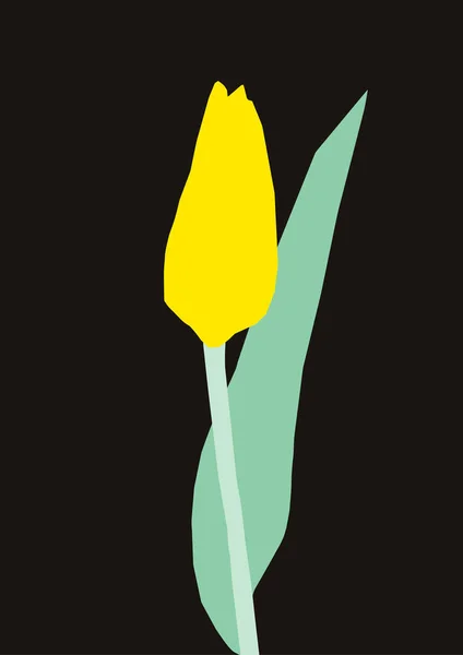 Illustrazione Piatta Tulipano Sullo Sfondo Nero Biglietto Floreale Minimalista Fiore — Vettoriale Stock