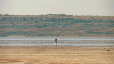 Yorgun bir adam çölde su ve seyir gider