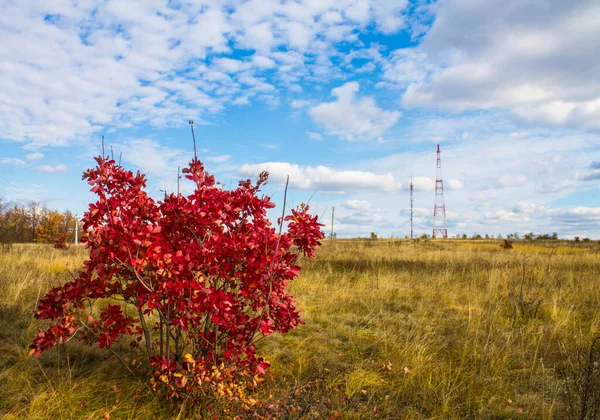  Kırsalda sonbahar manzarası.