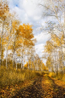 Rus eyaletinin sonbahar manzaraları.