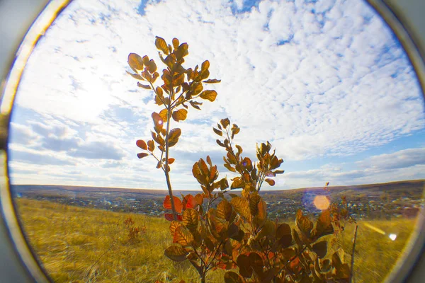 Rus eyaletinin manzarası. Düş.
