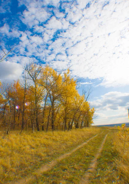 Rus eyaletinin manzarası. Düş.