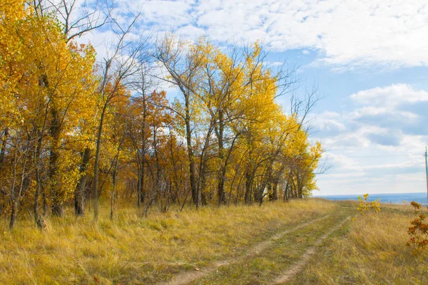 Rus eyaletinin manzarası. Düş.
