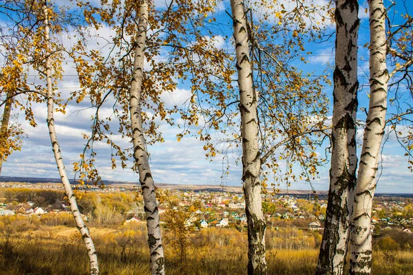 Rus eyaletinin manzarası. Düş.