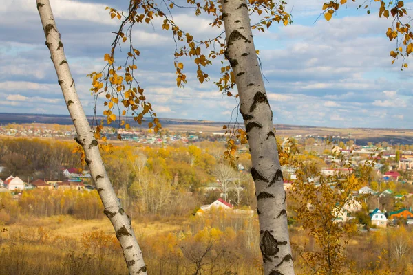 Rus eyaletinin manzarası. Düş.