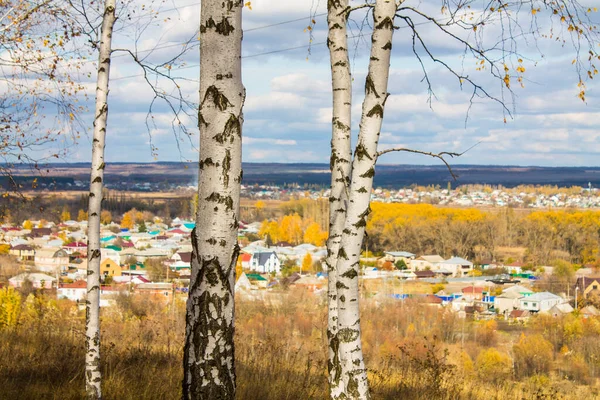 Rus eyaletinin manzarası. Düş.