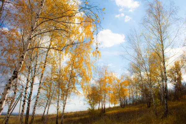 Rus eyaletinin manzarası. Düş.