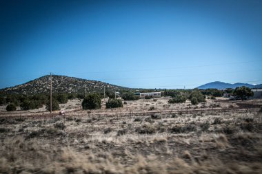 coniferous city park in america under a blue sky