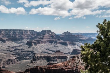rocky crevice among the mountains of America under a blue sky covered with plants