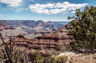 rocky crevice among the mountains of America under a blue sky covered with plants
