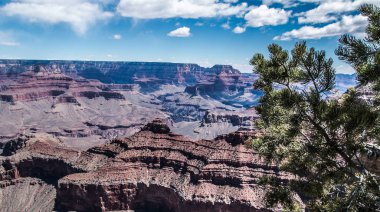 rocky crevice among the mountains of America under a blue sky covered with plants