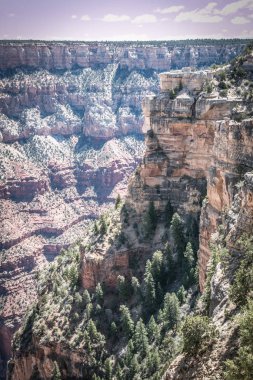 rocky crevice among the mountains of America under a blue sky covered with plants