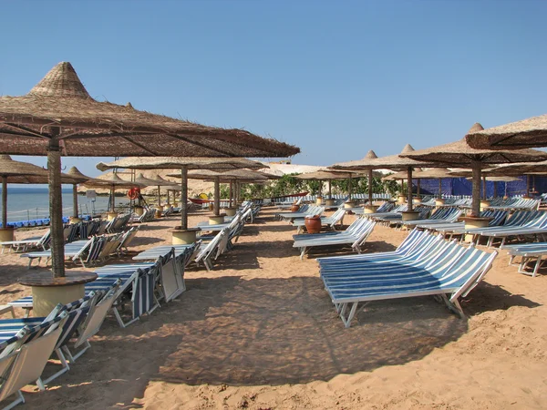 Mısır'daki Beach. Resort beach
