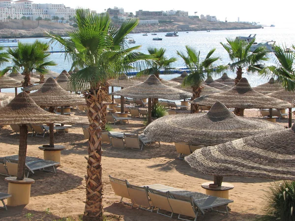 Mısır'daki Beach. Resort beach