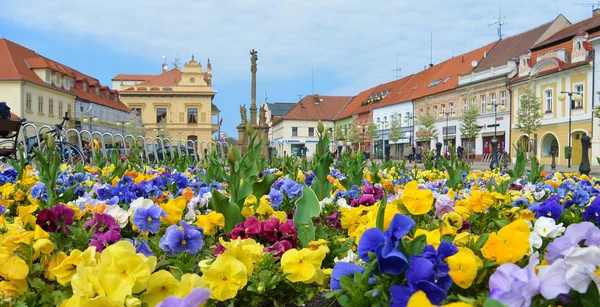 View on flowerbed on square. Czech city Podebrady