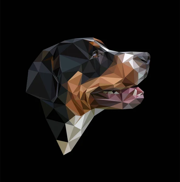 Низкий многоугольный портрет Великой швейцарской горной собаки — стоковый вектор