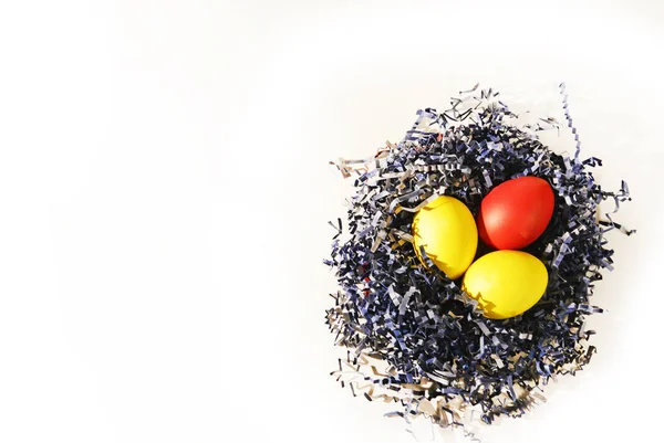 Окрашенные пасхальные яйца в голубую бумагу птичье гнездо на белом — стоковое фото