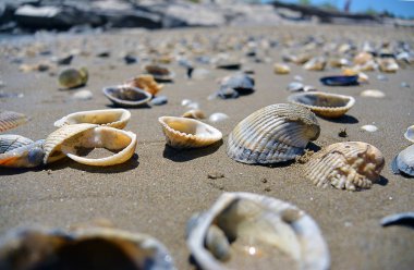 Deniz kum plaj üzerinde görünümü kadar güneşli bir günde kapatın