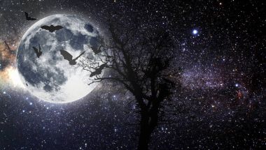 Cadılar Bayramı. Yıldızlı gökyüzü.