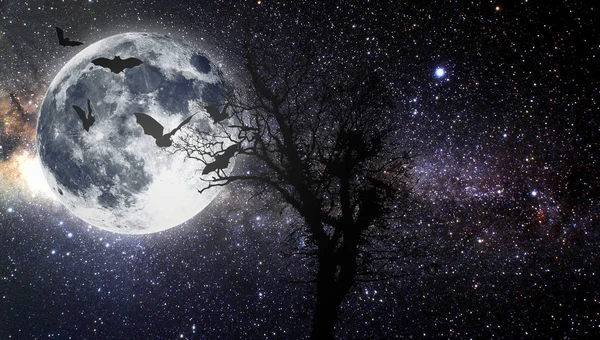 Cadılar Bayramı. Yıldızlı gökyüzü.