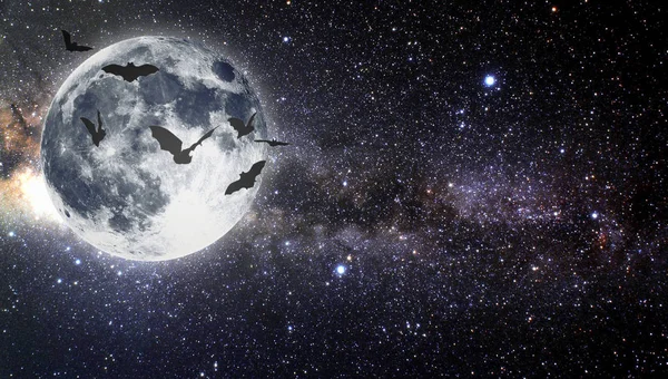 Cadılar Bayramı. Yıldızlı gökyüzü. 