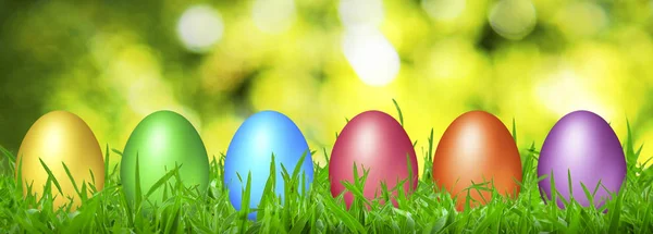 The color Easter eggs hidden in a grass.