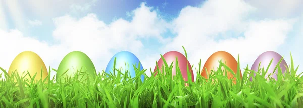 The color Easter eggs hidden in a grass.