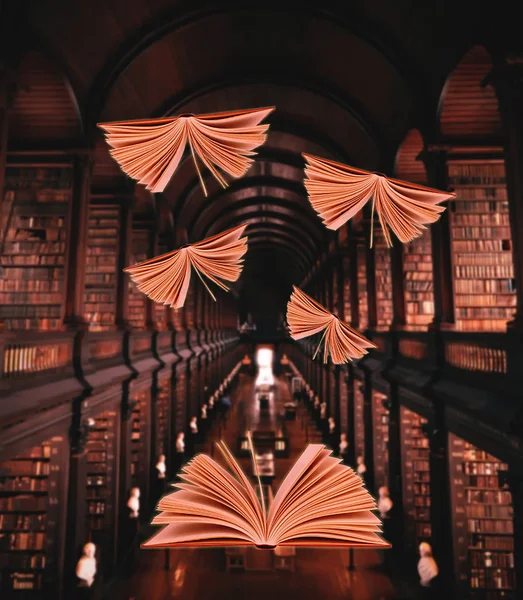 Kütüphane uçan kitaplarda.