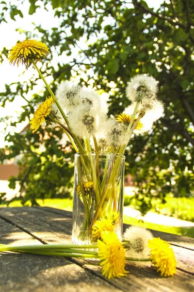 Pampelišky. Letní květiny. — Stock fotografie