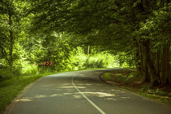 Yolun ortasında ahşap