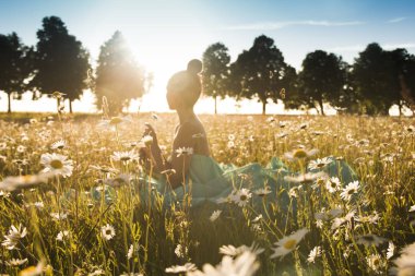 camomiles alanında güzel genç kızla