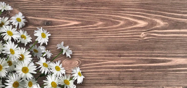 Camomiles op een houten tafel. — Stockfoto