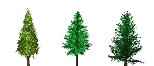 Alberi verdi freschi isolati su sfondo bianco. Illustrazione 3D . — Foto Stock