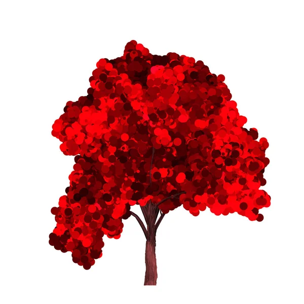 Bellissimo albero rosso isolato su sfondo bianco . — Foto Stock